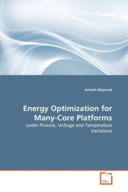 Energy Optimization for Many-Core Platforms