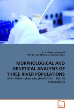 Morphological and Genetical Analysis of Three River Populations