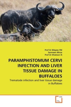 Paramphistomum Cervi Infection and Liver Tissue Damage in Buffaloes