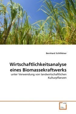 Wirtschaftlichkeitsanalyse eines Biomassekraftwerks