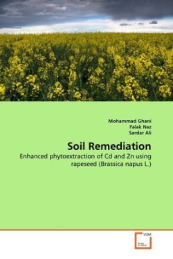 Soil Remediation