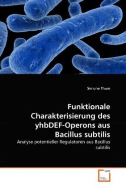 Funktionale Charakterisierung des yhbDEF-Operons aus Bacillus subtilis