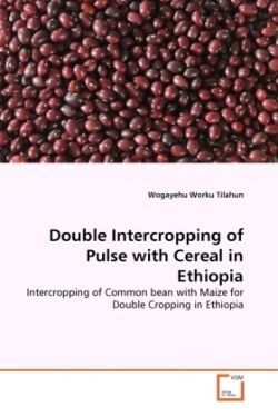 Double Intercropping of Pulse with Cereal in Ethiopia