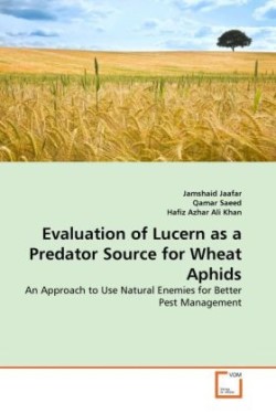 Evaluation of Lucern as a Predator Source for Wheat Aphids