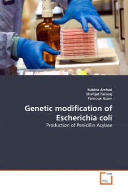 Genetic modification of Escherichia coli