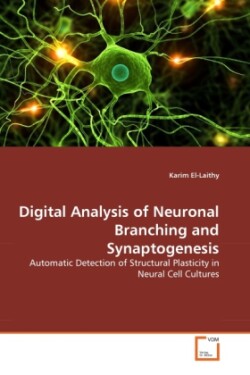 Digital Analysis of Neuronal Branching and Synaptogenesis