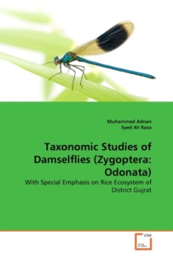 Taxonomic Studies of Damselflies (Zygoptera