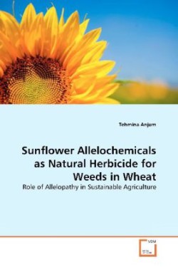 Sunflower Allelochemicals as Natural Herbicide for Weeds in Wheat