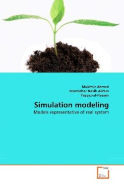 Simulation modeling