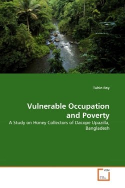 Vulnerable Occupation and Poverty