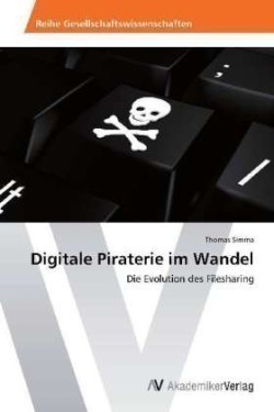 Digitale Piraterie im Wandel