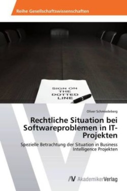 Rechtliche Situation bei Softwareproblemen in IT-Projekten