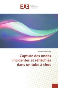 Capture Des Ondes Incidentes Et Réfléchies Dans Un Tube À Choc