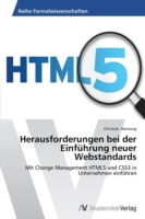 Herausforderungen bei der Einführung neuer Webstandards