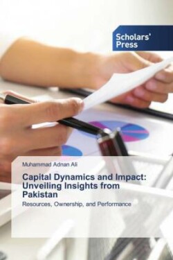 Capital Dynamics and Impact