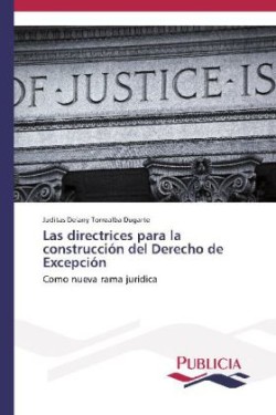 directrices para la construcción del Derecho de Excepción