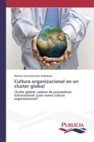 Cultura organizacional en un cluster global