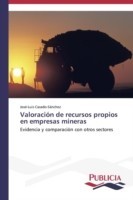 Valoración de recursos propios en empresas mineras