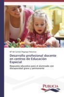 Desarrollo profesional docente en centros de Educación Especial