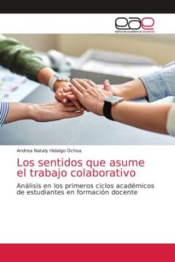 sentidos que asume el trabajo colaborativo