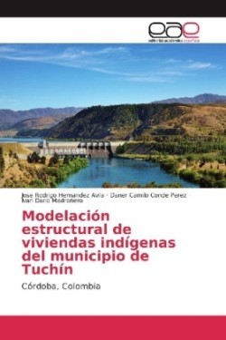 Modelación estructural de viviendas indígenas del municipio de Tuchín