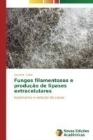 Fungos filamentosos e produção de lipases extracelulares