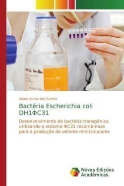 Bactéria Escherichia coli DH1ΦC31
