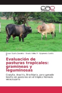 Evaluación de pasturas tropicales: gramíneas y leguminosas