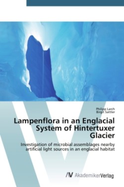 Lampenflora in an Englacial System of Hintertuxer Glacier
