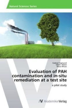 Evaluation of PAH contamination and in-situ remediation at a test site