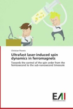 Ultrafast Laser-Induced Spin Dynamics in Ferromagnets