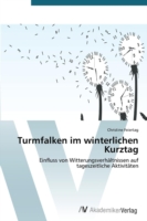 Turmfalken im winterlichen Kurztag