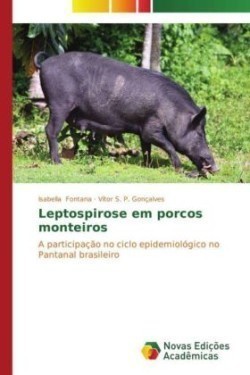 Leptospirose em porcos monteiros