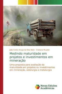 Medindo maturidade em projetos e investimentos em mineração