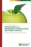 Matemática e a Modelagem Computacional das Ondas Internas