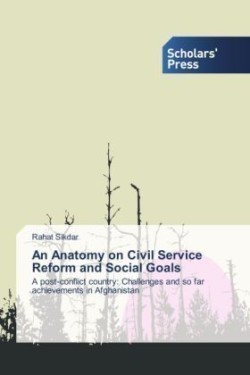 Anatomy on Civil Service Reform and Social Goals