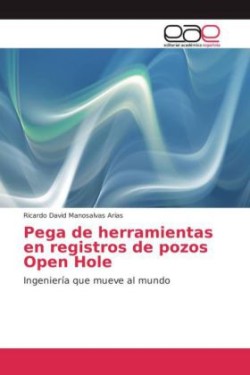 Pega de herramientas en registros de pozos Open Hole