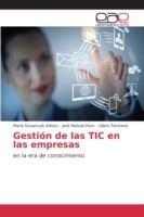 Gestión de las TIC en las empresas