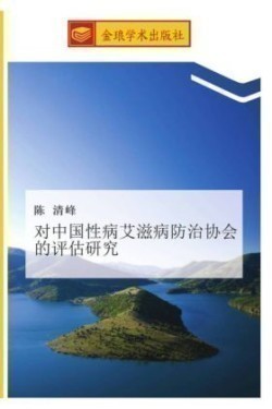 dui zhong guo xing bing ai zi bing fang zhi xie hui de ping gu yan jiu