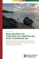 Base genética da coloração em lagartixa-da-areia (Liolaemus sp)