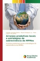 Arranjos produtivos locais e estratégias de sobrevivência de MPMEs
