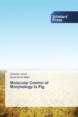 Molecular Control of Morphology in Fig