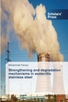 Strengthening and degradation mechanisms in austenitic stainless steel