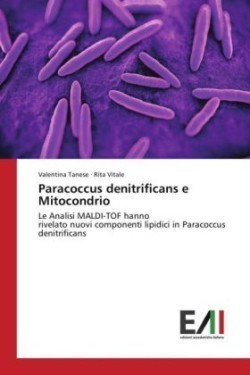 Paracoccus denitrificans e Mitocondrio