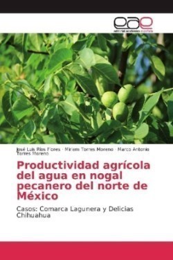 Productividad agrícola del agua en nogal pecanero del norte de México