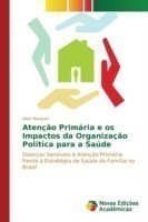 Atenção Primária e os Impactos da Organização Política para a Saúde