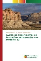 Avaliação experimental de fundações estaqueadas em Modelos 1G