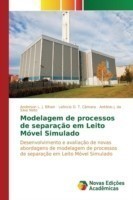 Modelagem de processos de separação em Leito Móvel Simulado