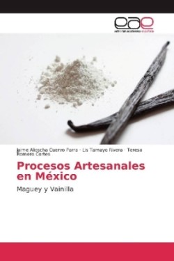 Procesos Artesanales en México