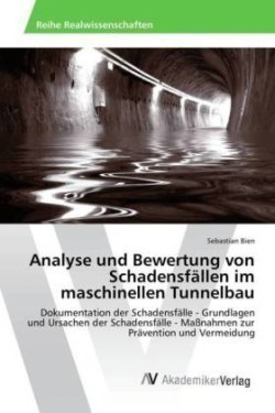 Analyse und Bewertung von Schadensfällen im maschinellen Tunnelbau